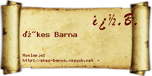 Ékes Barna névjegykártya